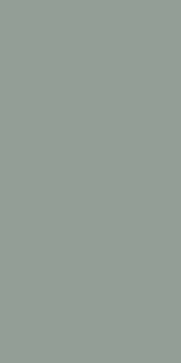 3009 FS Sage Green - Image 2