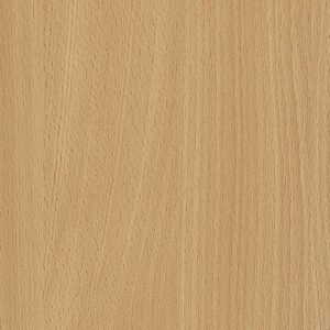 31 SF  Bavarian Beech