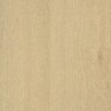 36 SF  Mangfall Beech