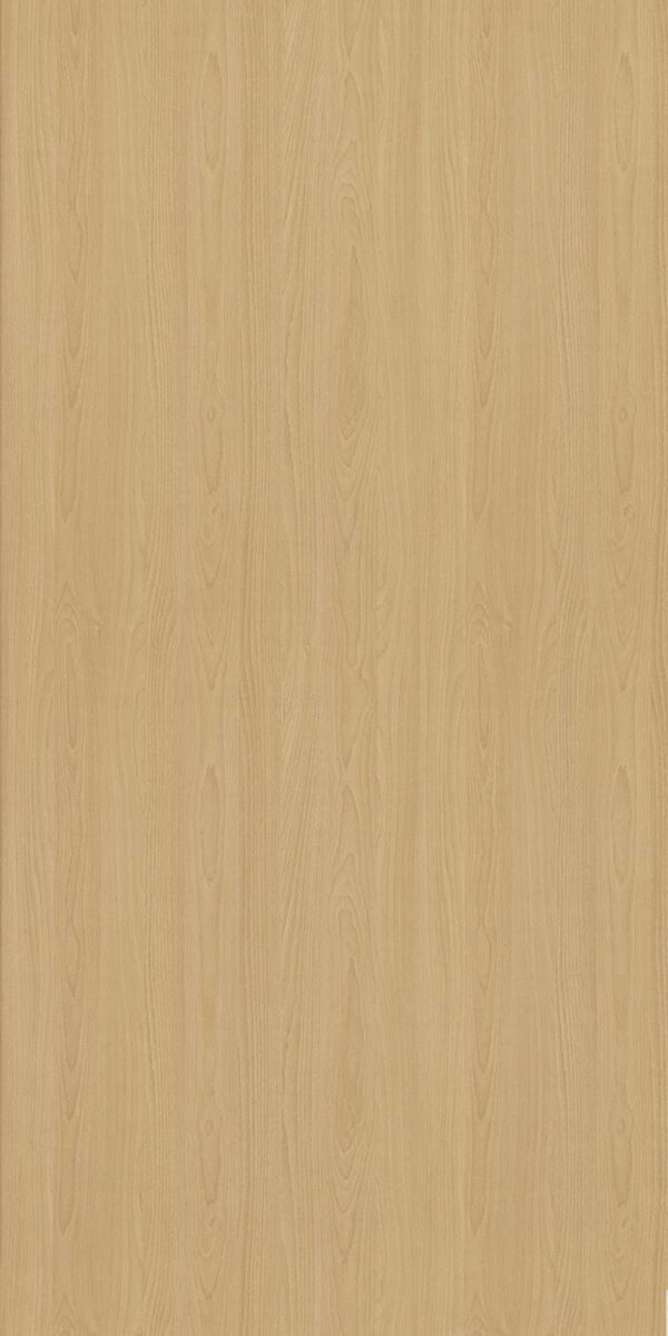 36 SF  Mangfall Beech - Image 2