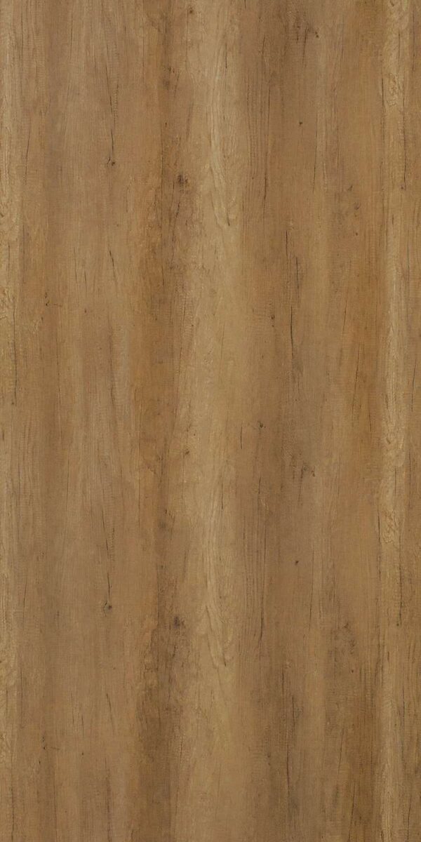373 MR Canyon Monument Oak - Image 2