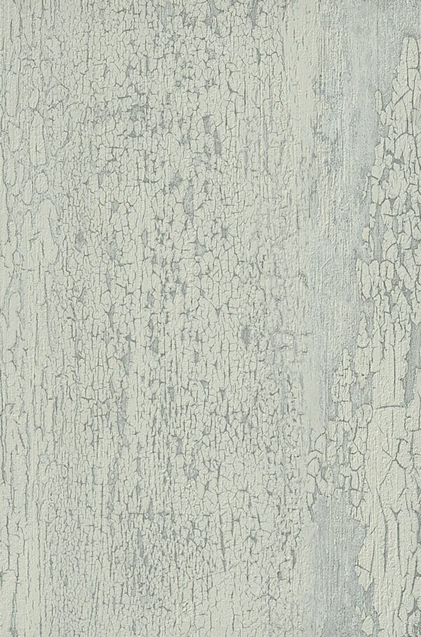 404 BC Snow Painted Metal