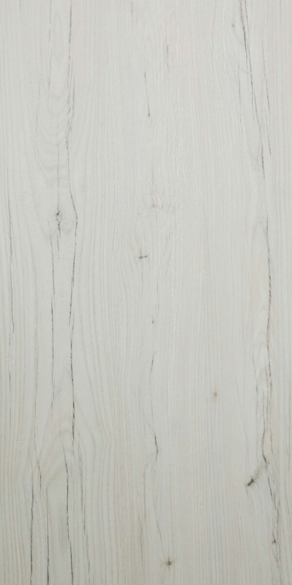 411 VV Jarama Elm - Image 2