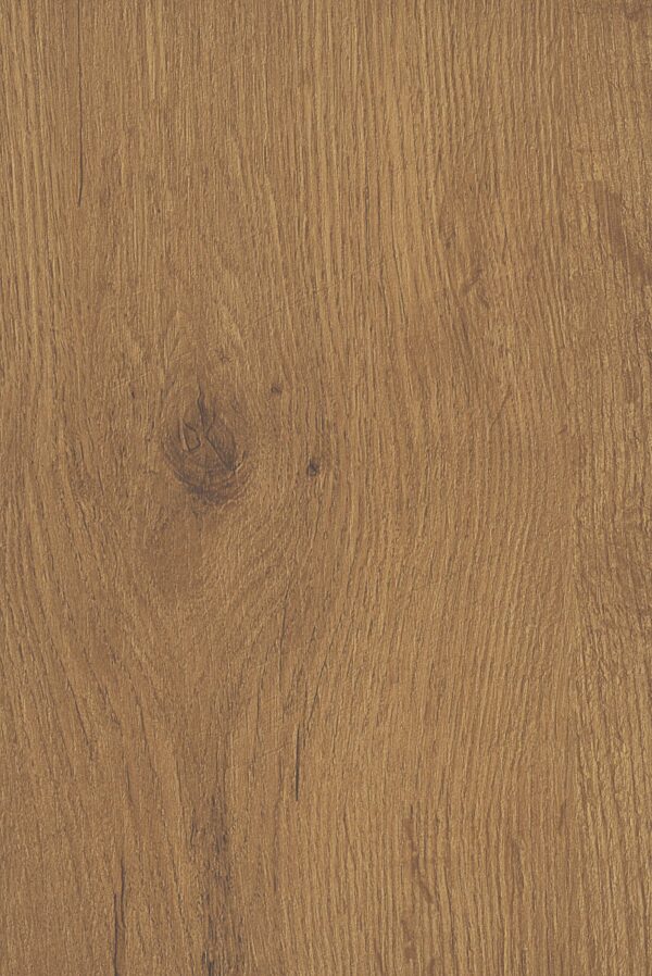 459 MO Lancelot Oak