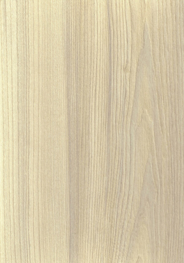 486 RM Canyon Century Elm