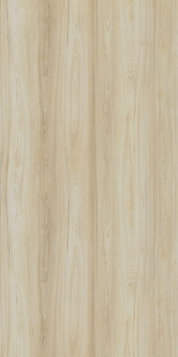 486 RM Canyon Century Elm - Image 2