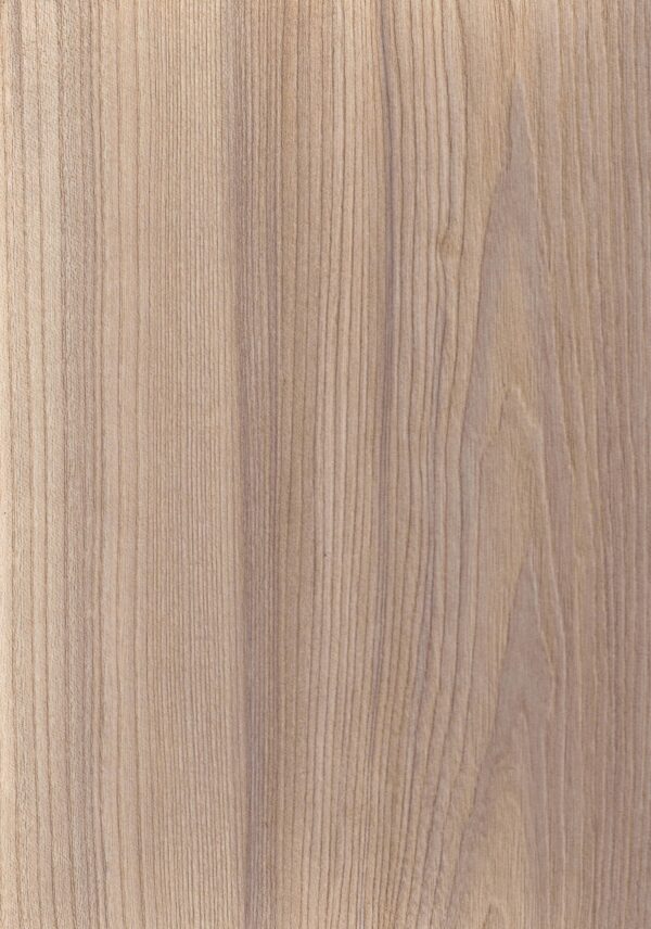486 MR Canyon Century Elm