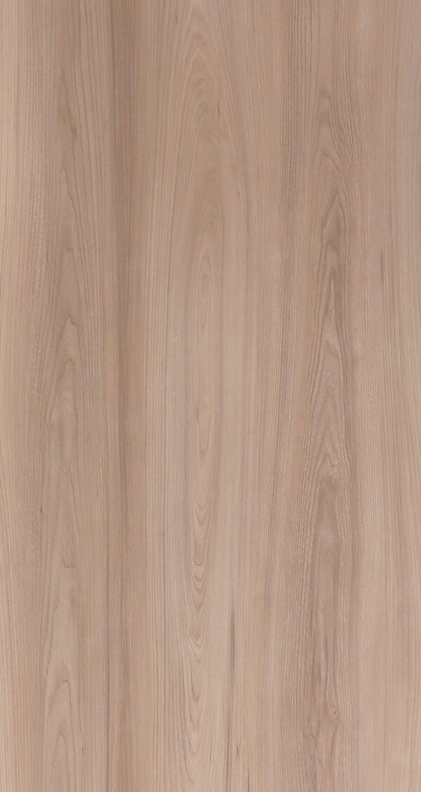 486 MR Canyon Century Elm - Image 2