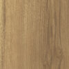 487 RM Canyon Century Elm