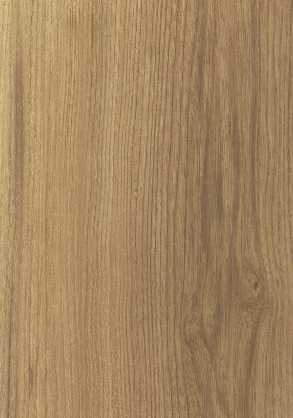 487 RM Canyon Century Elm