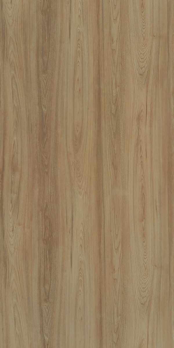 487 RM Canyon Century Elm - Image 2