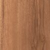 487 MR Canyon Century Elm