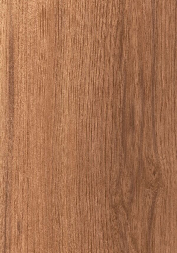 487 MR Canyon Century Elm