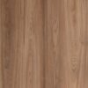 487 MR Canyon Century Elm - Image 2