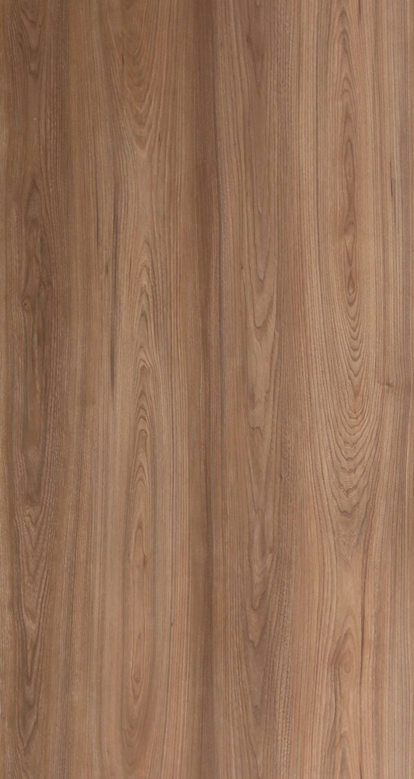487 MR Canyon Century Elm - Image 2