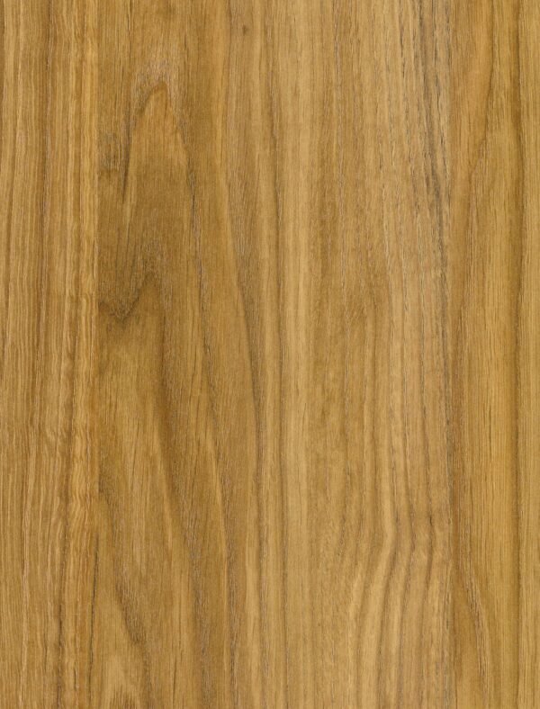490 DZ Catania Oak
