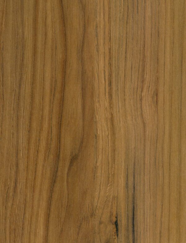 491 DZ Catania Oak