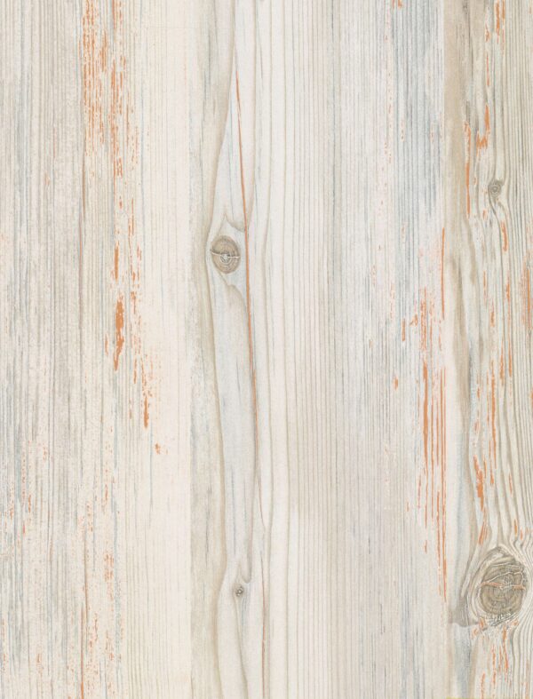 496 BC Oslo Pine