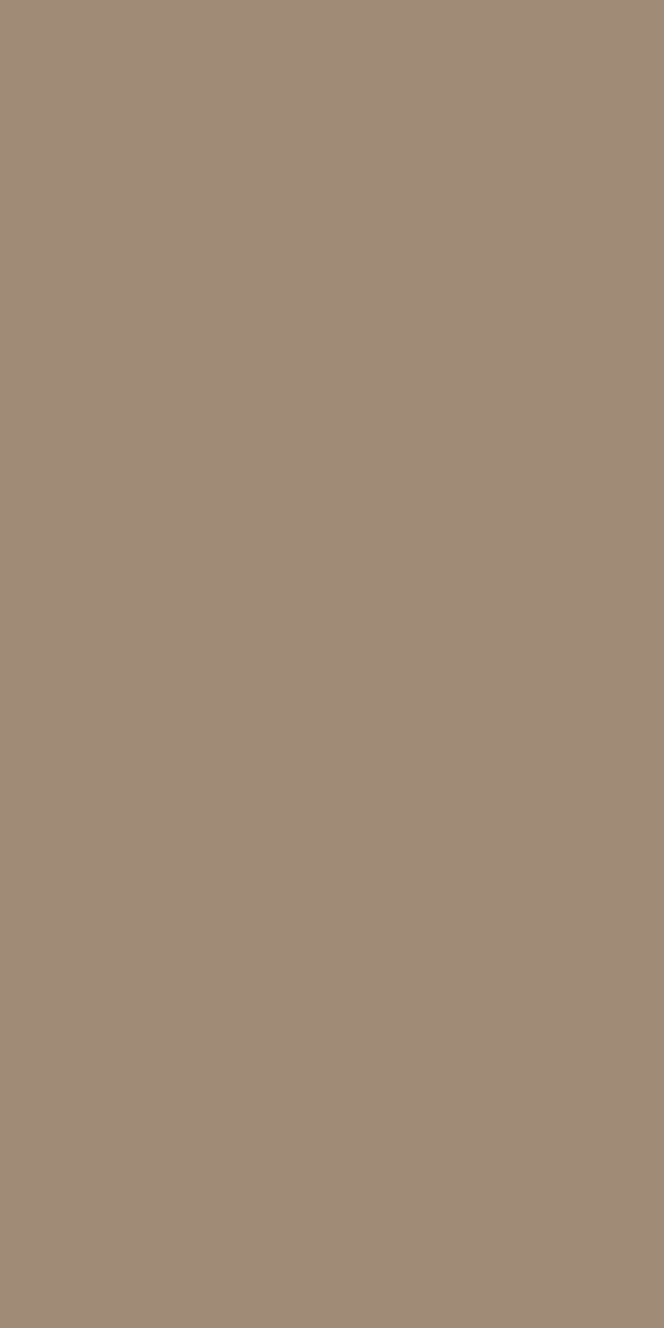 509 MR Creamy Brown - Image 2