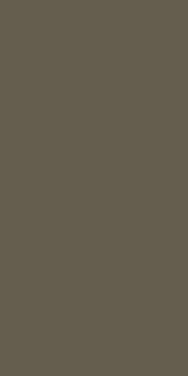 510 FS Calming Brown - Image 2