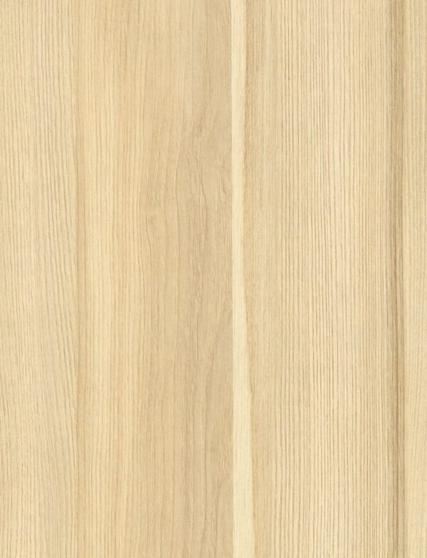 528 SF Sion Ash