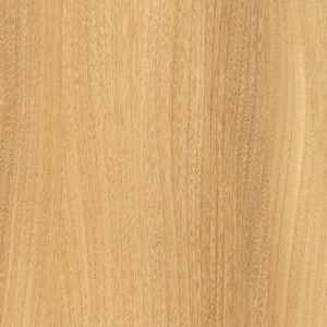 529 SF Elm Baron