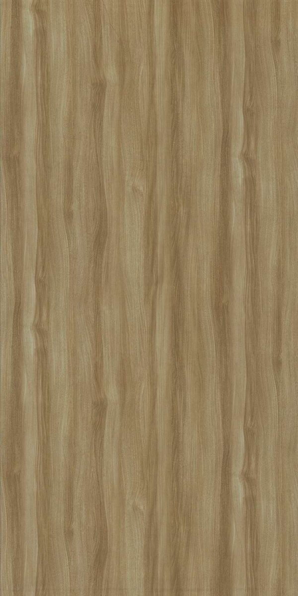 529 SF Elm Baron - Image 2