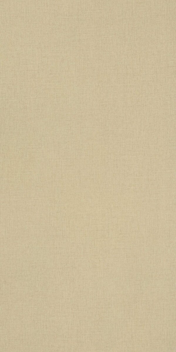 540 SF Ivory Twist - Image 2