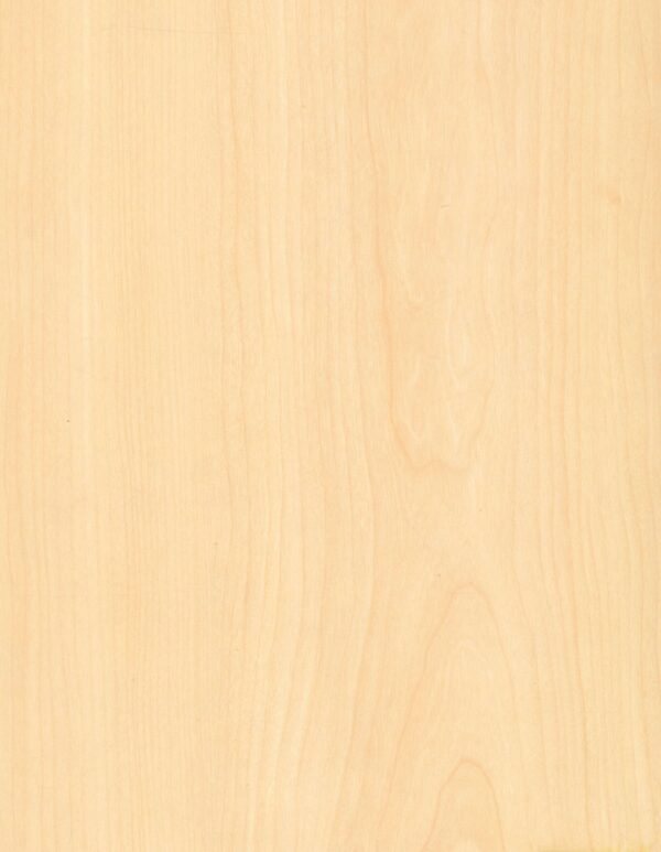 562 SF Scandic Maple