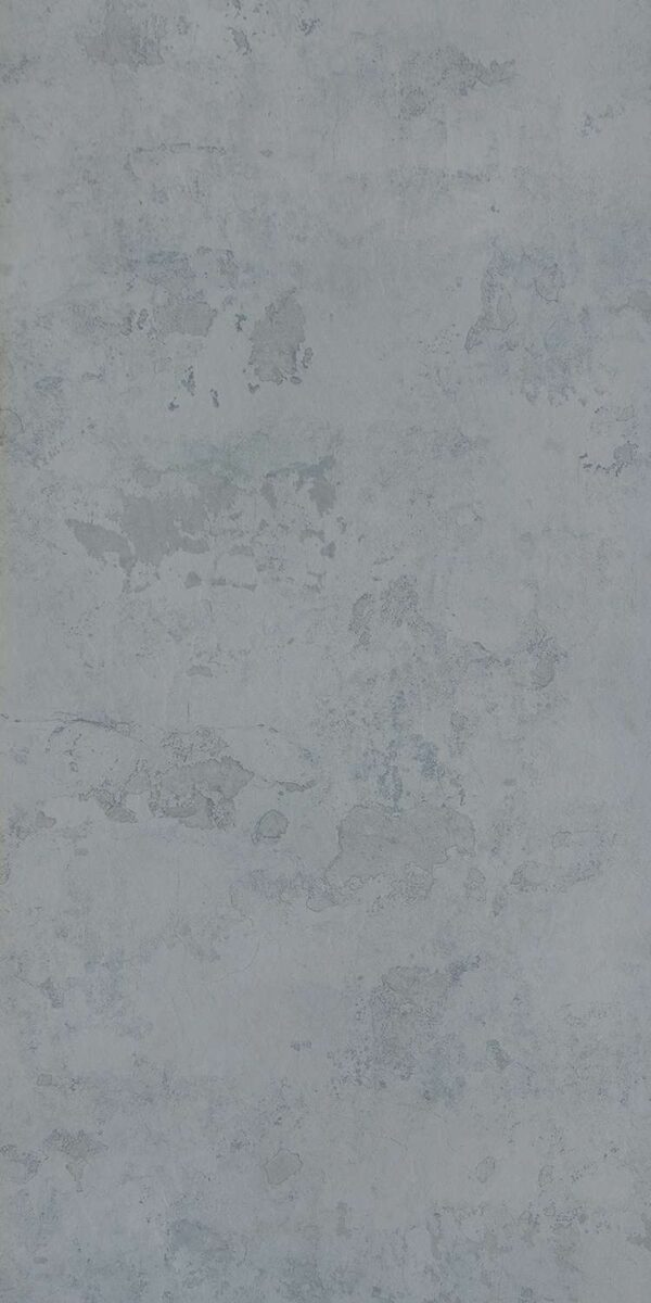 564 ST Cody - Image 2