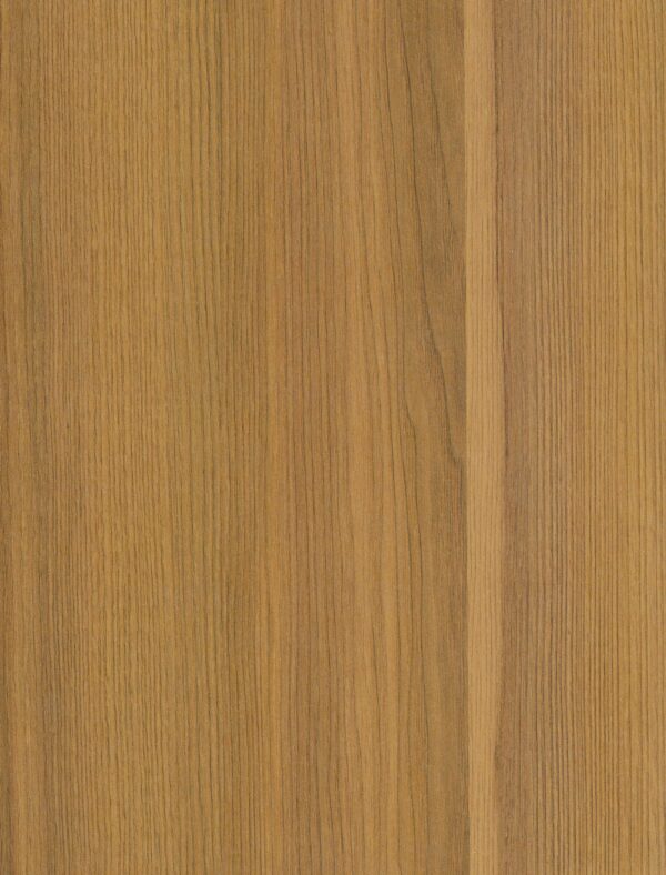 574 SF Sion Ash