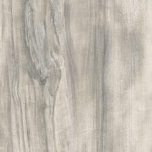 577 SW  Allepy Birch