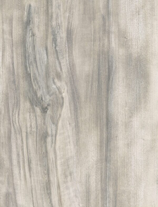 577 SW  Allepy Birch