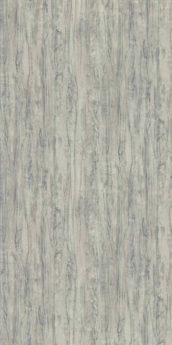 577 SW  Allepy Birch - Image 2