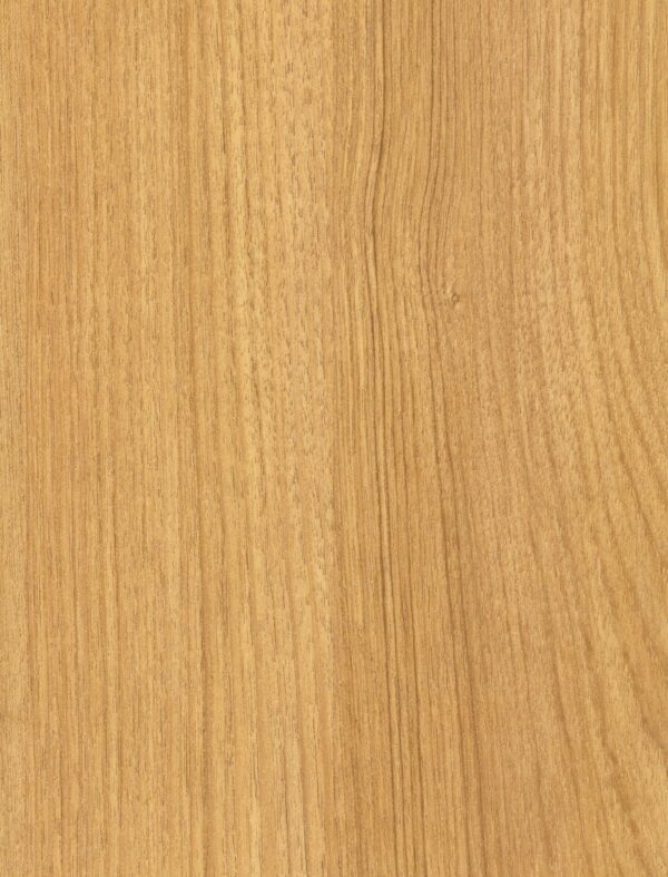 582 TW Sumatra Teak