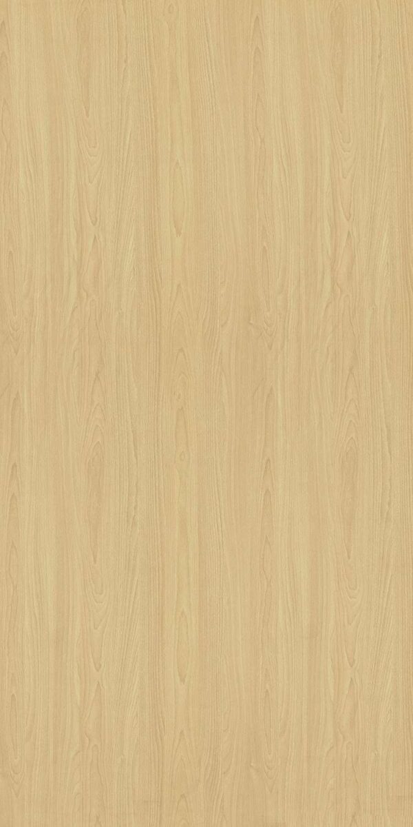 590 SF Intal Beech - Image 2