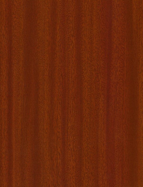 591 MR Mahogany Sapelli
