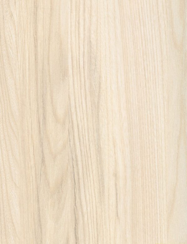 592 TW Kobe Elm