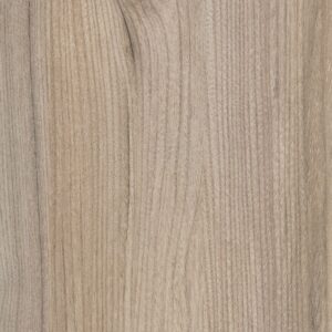 593 TW Kobe Elm