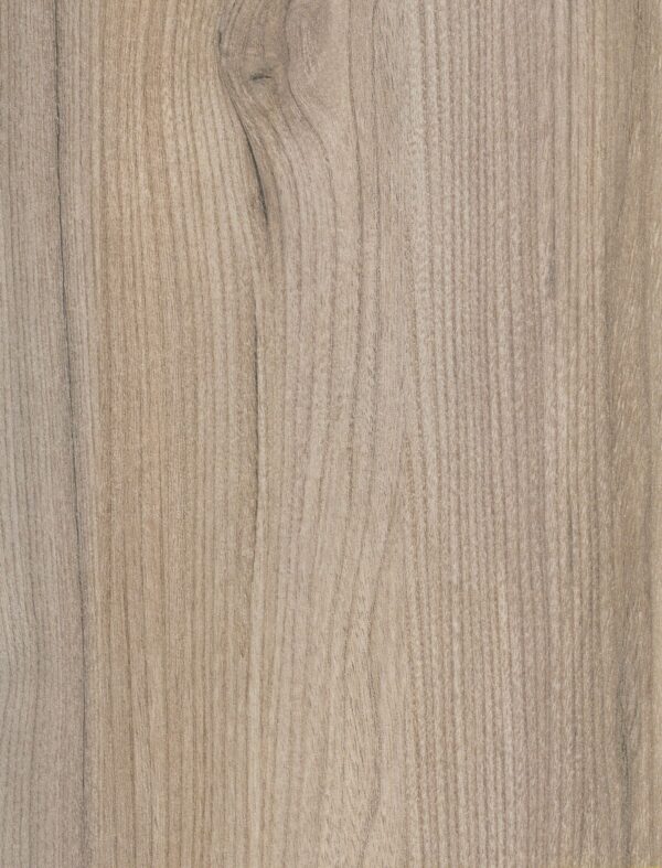 593 TW Kobe Elm