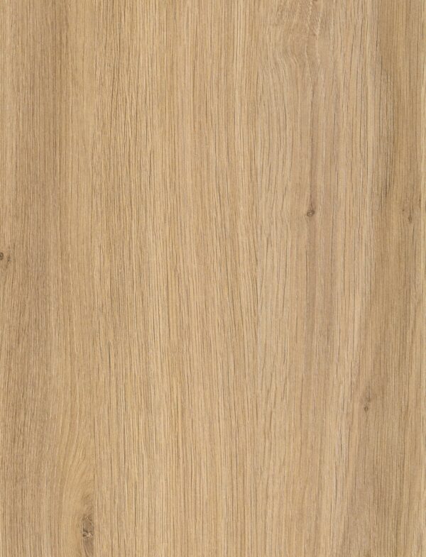594 SF Santana Oak