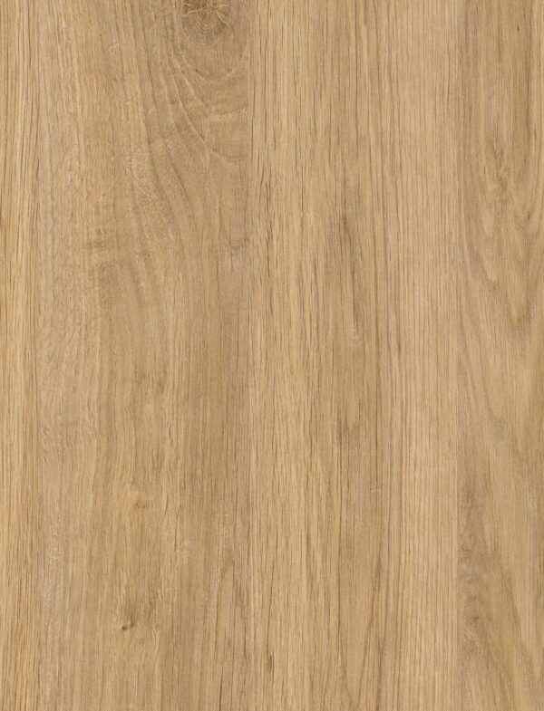 594 VV Santana Oak