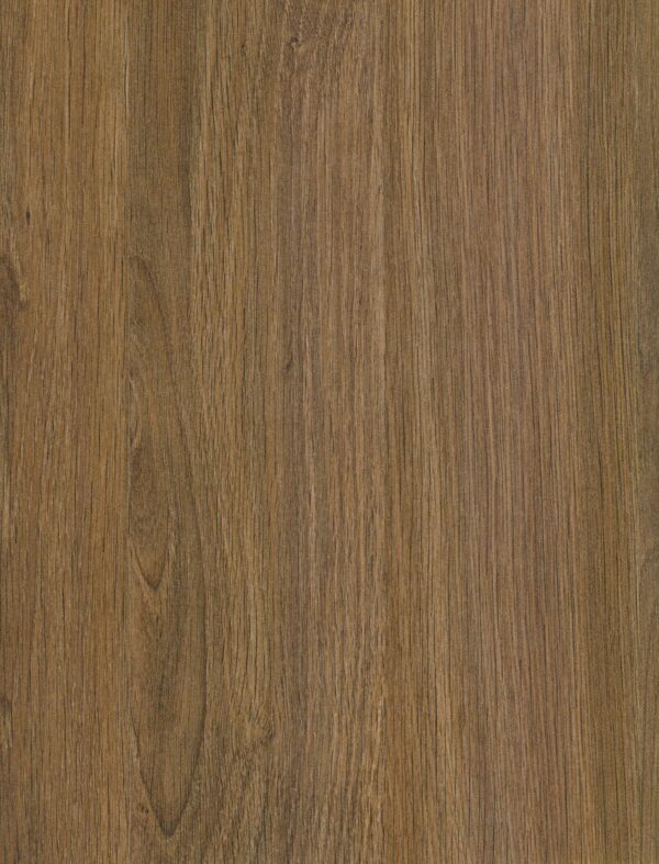 595 SF Santana Oak
