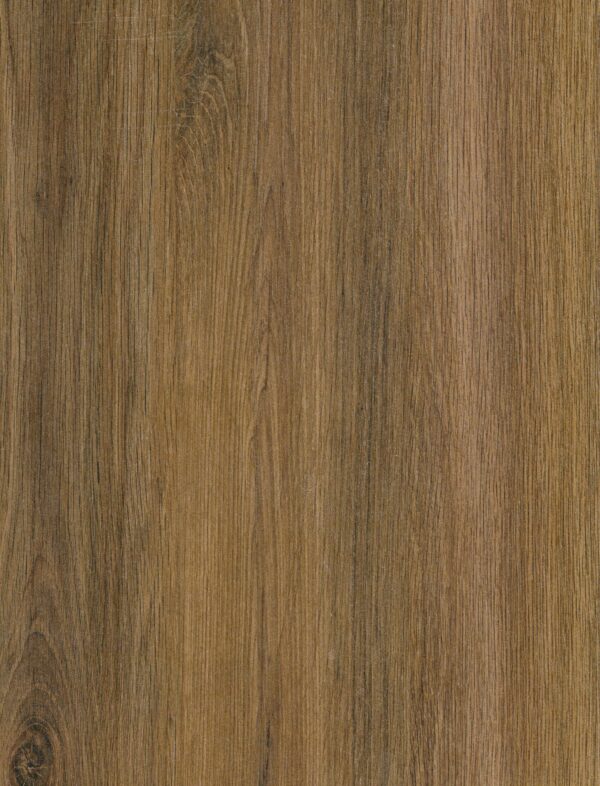 595 VV Santana Oak