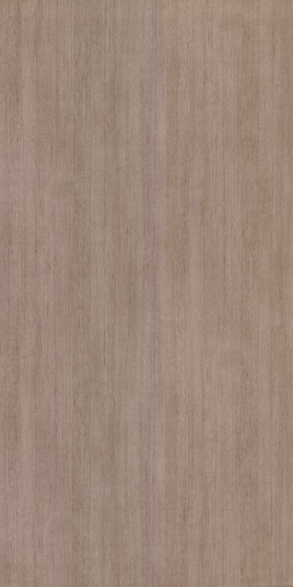 6014 SF Tira - Image 2