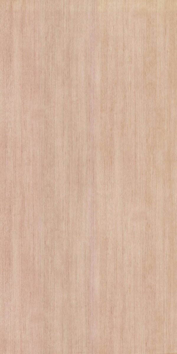 6014 TO Tira - Image 2