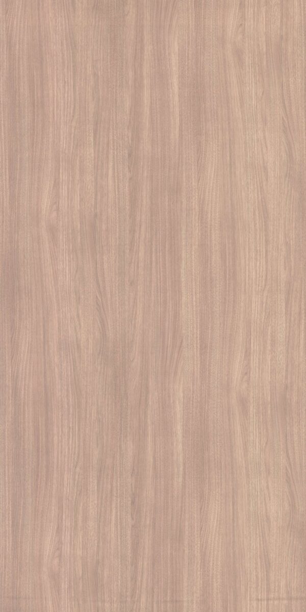 6019 SN Sunshine - Image 2