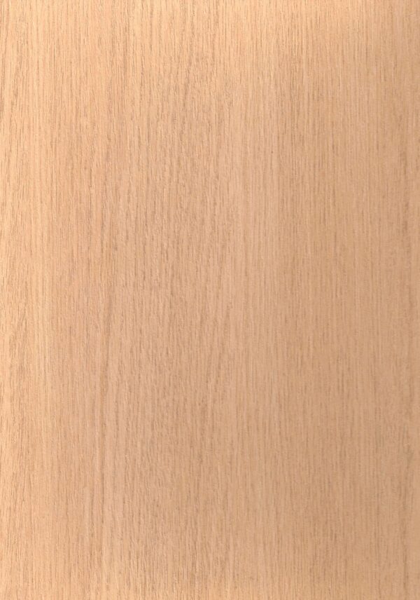 6023 MO Snow Moutain Oak