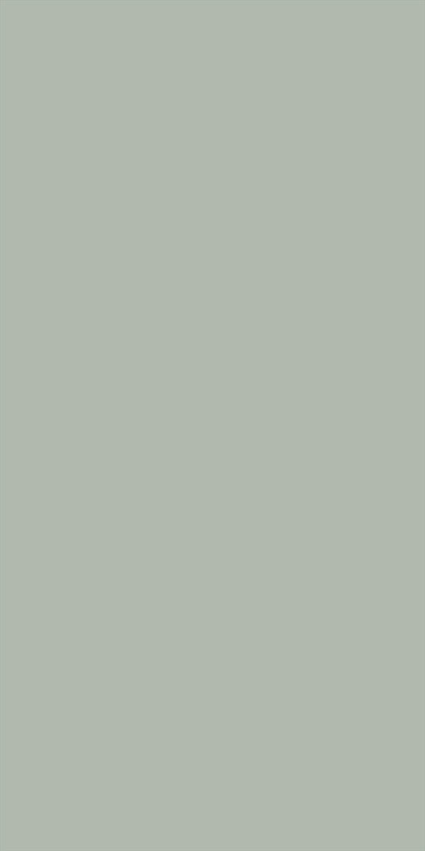 602X SF Silver Grey - Image 2