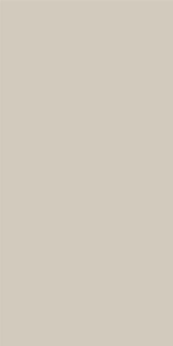 602X FS Silver Grey - Image 2